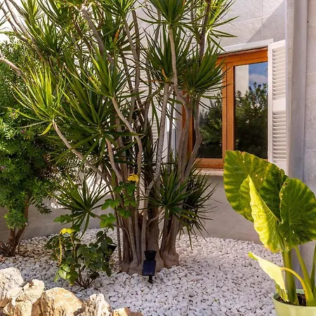 Tucan Alcudia بيت للعطل بورت ذالكوذيا